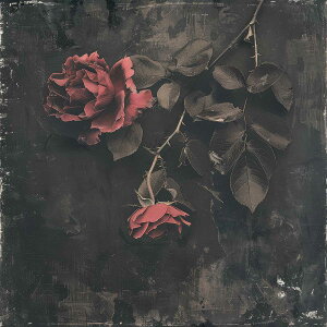 o   [Y A u[P Ԃ `|X^[ lp fUC |X^[ XNGA 5Z`݂ŃTCYLx CeA fUC vg G ItBX Z X  