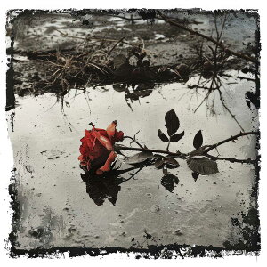 o   [Y A u[P Ԃ `|X^[ lp fUC |X^[ XNGA 5Z`݂ŃTCYLx CeA fUC vg G ItBX Z X  