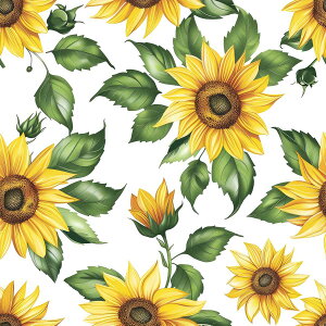 Ђ܂  A O[  ʕ t[c vc t[ R `|X^[ lp fUC |X^[ XNGA 5Z`݂ŃTCYLx CeA fUC vg X 