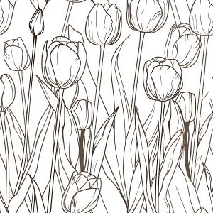 `[bv A O[  ʕ t[c vc t[ R `|X^[ lp fUC |X^[ XNGA 5Z`݂ŃTCYLx CeA fUC vg X 