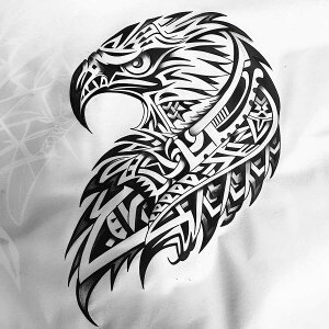 �� �o�[�h �g���C�o�� �^�g�D�[ �n�G ���� ���m�N�� �ŉ� �H �t�F�U�[ �k�� �����`�|�X�^�[ �l�p �f�U�C�� �|�X�^�[ �X�N�G�A �C���e���A �f�U�C�� �v�����g �X�� ������ �ysq-poster-2423�z