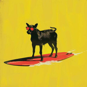  T[tAj} |bv g 쐶 Jt CXg TOX AJ R~bN `|X^[ lp fUC |X^[ XNGA 5Z`݂ŃTCYLx CeA fUC