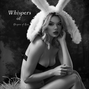 バニーガール モデル ポートレート ガールズフォト モノクロ 白黒 写真 女性モデル セクシー イースター うさぎ 正方形ポスター 四角 デザイン ポスター スクエア インテリア デザイン プリ