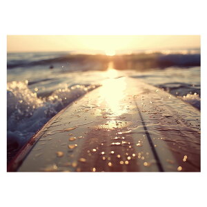 T[t{[h T[tB Cn T[t |X^[ pƃTCYIׂ g r[` C I[V u[ iF T[tB CeA A[g a0 a1 a2 a3 a4 b0 b1 b2 b3 b4  傫ylh-pos