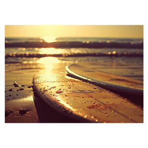 T[t{[h T[tB Cn T[t |X^[ pƃTCYIׂ g r[` C I[V u[ iF T[tB CeA A[g a0 a1 a2 a3 a4 b0 b1 b2 b3 b4  傫ylh-pos