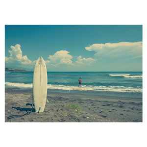 T[t{[h T[tB Cn T[t |X^[ pƃTCYIׂ g r[` C I[V u[ iF T[tB CeA A[g a0 a1 a2 a3 a4 b0 b1 b2 b3 b4  傫ylh-pos