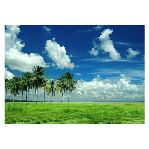 R[X^ tHg ₩ Cn T[t |X^[ pƃTCYIׂ g r[` C I[V u[ iF T[tB CeA A[g a0 a1 a2 a3 a4 b0 b1 b2 b3 b4  傫ylh