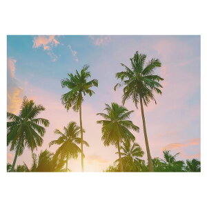 R[X^ tHg ₩ Cn T[t |X^[ pƃTCYIׂ g r[` C I[V u[ iF T[tB CeA A[g a0 a1 a2 a3 a4 b0 b1 b2 b3 b4  傫ylh