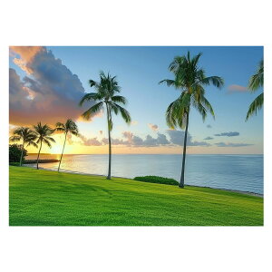 R[X^ tHg ₩ Cn T[t |X^[ pƃTCYIׂ g r[` C I[V u[ iF T[tB CeA A[g a0 a1 a2 a3 a4 b0 b1 b2 b3 b4  傫ylh