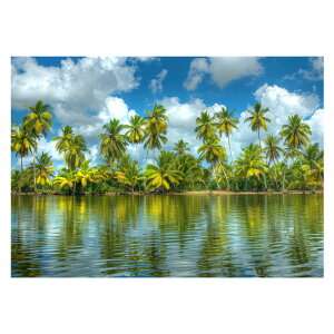 R[X^ tHg ₩ Cn T[t |X^[ pƃTCYIׂ g r[` C I[V u[ iF T[tB CeA A[g a0 a1 a2 a3 a4 b0 b1 b2 b3 b4  傫ylh