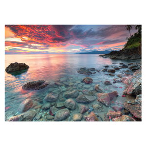 R[X^ tHg ₩ Cn T[t |X^[ pƃTCYIׂ g r[` C I[V u[ iF T[tB CeA A[g a0 a1 a2 a3 a4 b0 b1 b2 b3 b4  傫ylh