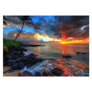 R[X^ tHg ₩ Cn T[t |X^[ pƃTCYIׂ g r[` C I[V u[ iF T[tB CeA A[g a0 a1 a2 a3 a4 b0 b1 b2 b3 b4  傫ylh