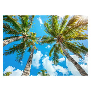 R[X^ tHg ₩ Cn T[t |X^[ pƃTCYIׂ g r[` C I[V u[ iF T[tB CeA A[g a0 a1 a2 a3 a4 b0 b1 b2 b3 b4  傫ylh