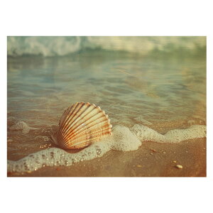 R[X^ tHg ₩ Cn T[t |X^[ pƃTCYIׂ g r[` C I[V u[ iF T[tB CeA A[g a0 a1 a2 a3 a4 b0 b1 b2 b3 b4  傫ylh