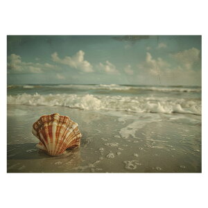 R[X^ tHg ₩ Cn T[t |X^[ pƃTCYIׂ g r[` C I[V u[ iF T[tB CeA A[g a0 a1 a2 a3 a4 b0 b1 b2 b3 b4  傫ylh