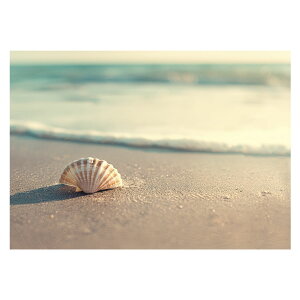 R[X^ tHg ₩ Cn T[t |X^[ pƃTCYIׂ g r[` C I[V u[ iF T[tB CeA A[g a0 a1 a2 a3 a4 b0 b1 b2 b3 b4  傫ylh