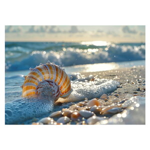 R[X^ tHg ₩ Cn T[t |X^[ pƃTCYIׂ g r[` C I[V u[ iF T[tB CeA A[g a0 a1 a2 a3 a4 b0 b1 b2 b3 b4  傫ylh