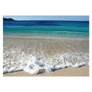 R[X^ tHg ₩ Cn T[t |X^[ pƃTCYIׂ g r[` C I[V u[ iF T[tB CeA A[g a0 a1 a2 a3 a4 b0 b1 b2 b3 b4  傫ylh