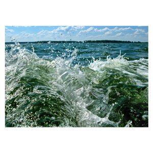 R[X^ tHg ₩ Cn T[t |X^[ pƃTCYIׂ g r[` C I[V u[ iF T[tB CeA A[g a0 a1 a2 a3 a4 b0 b1 b2 b3 b4  傫ylh