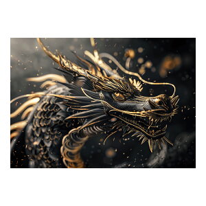 J^ F   C _l |X^[ pƃTCYIׂ ^ v    CeA  Vv  a0 a1 a2 a3 a4 b0 b1 b2 b3 b4  傫ylh-poster-3562z