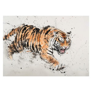  g ^CK[ Ҍ N |X^[ pƃTCYIׂ J^ ^  G g a ` CeA  vg|X^[ tHg IV A[g _ Vv 