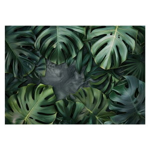 �����X�e���|�X�^�[ �p���ƃT�C�Y���I�ׂ� �g���s�J�� �M�ѐA�� �n���C�A�� �{���V�M�A�i �f���V�I�[�T �A�_���\�j�[ �t���� �O���[�� �ϗt�A�� ���R �� �W�����O�� �A�� �썑 �C���e���A 