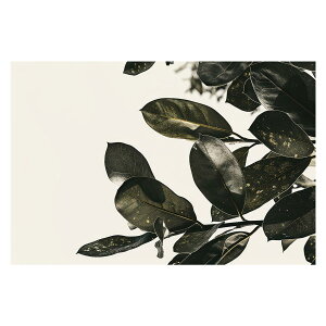 A O[ t ϗt |X^[ {^jJ  R pƃTCYIׂ CeA  vg|X^[ tHg IV A[g _ Vv   傫ylh-poster