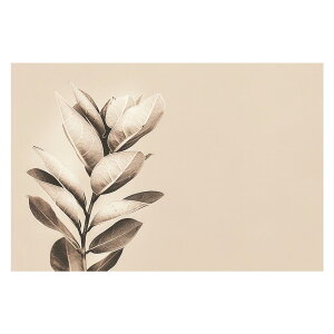 A O[ t ϗt |X^[ {^jJ  R pƃTCYIׂ CeA  vg|X^[ tHg IV A[g _ Vv   傫ylh-poster