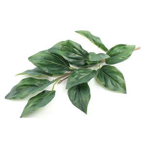 A O[ t ϗt |X^[ {^jJ  R pƃTCYIׂ CeA  vg|X^[ tHg IV A[g _ Vv   傫ylh-poster