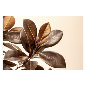 A O[ t ϗt |X^[ {^jJ  R pƃTCYIׂ CeA  vg|X^[ tHg IV A[g _ Vv   傫ylh-poster