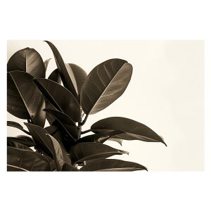 S̖ tBJX A O[ t ϗt |X^[ {^jJ  R pƃTCYIׂ CeA  vg|X^[ tHg IV A[g _ Vv  