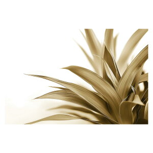 A O[ t ϗt |X^[ {^jJ  R pƃTCYIׂ CeA  vg|X^[ tHg IV A[g _ Vv   傫ylh-poster