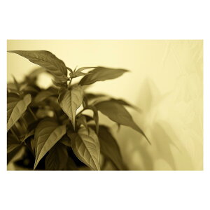 A O[ t ϗt |X^[ {^jJ  R pƃTCYIׂ CeA  vg|X^[ tHg IV A[g _ Vv   傫ylh-poster