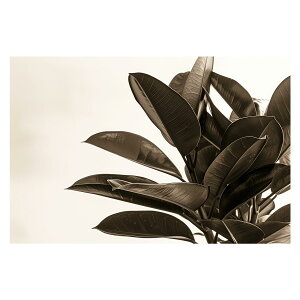 A O[ t ϗt |X^[ {^jJ  R pƃTCYIׂ CeA  vg|X^[ tHg IV A[g _ Vv   傫ylh-poster