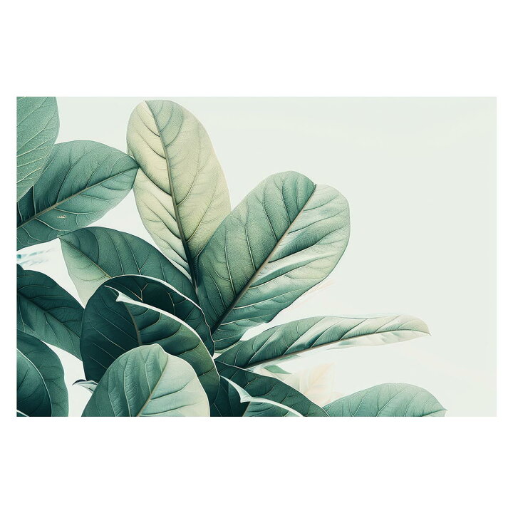【B4サイズ（約25x36cm）】【pbg-poster-5001】植物 緑 グリーン ボタニカル ナチュラル 自然 ポスター  ポスター フォト フレーム オシャレ アート モダン シンプル オシャレ お洒落  特大 大きい 小さい 縦 楽天市場】植物 グリーン 葉っぱ 観葉 ポスター ボタニカル 草 自然 用紙とサイズが選べる インテリア おしゃれ プリントポスター フォト オシャレ  アート モダン シンプル お洒落 特大 大きい【lh-poster-4647】 : ファッションポスターEFPI