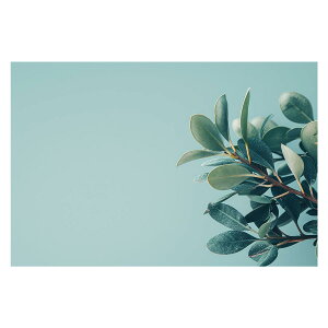 A O[ t ϗt |X^[ {^jJ  R pƃTCYIׂ CeA  vg|X^[ tHg IV A[g _ Vv   傫ylh-poster