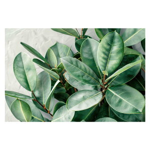 A O[ t ϗt |X^[ {^jJ  R pƃTCYIׂ CeA  vg|X^[ tHg IV A[g _ Vv   傫ylh-poster