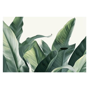 A O[ t ϗt |X^[ {^jJ  R pƃTCYIׂ CeA  vg|X^[ tHg IV A[g _ Vv   傫ylh-poster