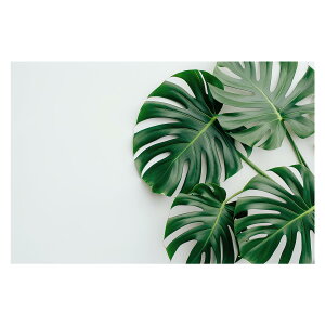 植物 グリーン 葉っぱ 観葉 ポスター ボタニカル 草 自然 用紙とサイズが選べる インテリア おしゃれ プリントポスター フォト オシャレ アート モダン シンプル お洒落 特大 大きい【lh-poster