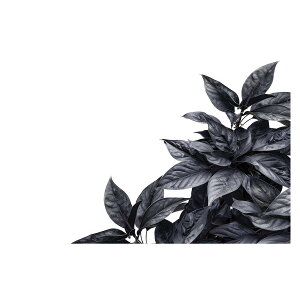 A O[ t ϗt |X^[ {^jJ  R pƃTCYIׂ CeA  vg|X^[ tHg IV A[g _ Vv   傫ylh-poster