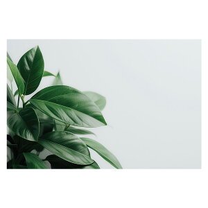 A O[ t ϗt |X^[ {^jJ  R pƃTCYIׂ CeA  vg|X^[ tHg IV A[g _ Vv   傫ylh-poster