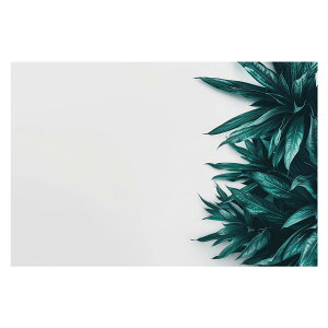 植物 グリーン 葉っぱ 観葉 ポスター ボタニカル 草 自然 用紙とサイズが選べる インテリア おしゃれ プリントポスター フォト オシャレ アート モダン シンプル お洒落 特大 大きい【lh-poster