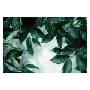 植物 グリーン 葉っぱ 観葉 ポスター ボタニカル 草 自然 用紙とサイズが選べる インテリア おしゃれ プリントポスター フォト オシャレ アート モダン シンプル お洒落 特大 大きい【lh-poster