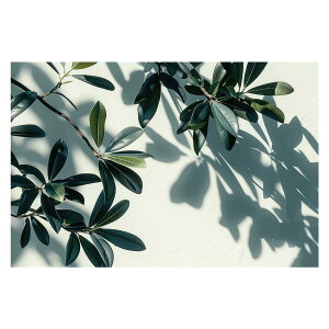 A O[ t ϗt |X^[ {^jJ  R pƃTCYIׂ CeA  vg|X^[ tHg IV A[g _ Vv   傫ylh-poster