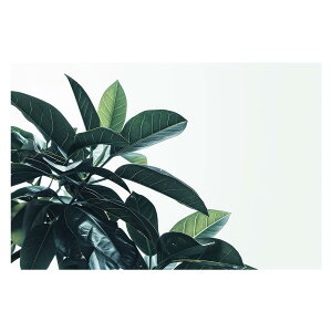 A O[ t ϗt |X^[ {^jJ  R pƃTCYIׂ CeA  vg|X^[ tHg IV A[g _ Vv   傫ylh-poster