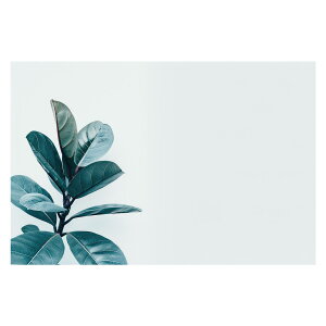 A O[ t ϗt |X^[ {^jJ  R pƃTCYIׂ CeA  vg|X^[ tHg IV A[g _ Vv   傫ylh-poster