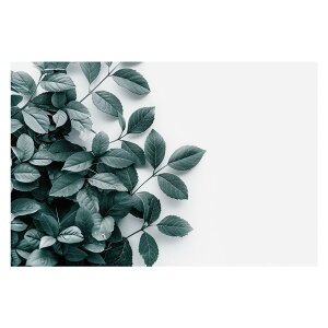 A O[ t ϗt |X^[ {^jJ  R pƃTCYIׂ CeA  vg|X^[ tHg IV A[g _ Vv   傫ylh-poster