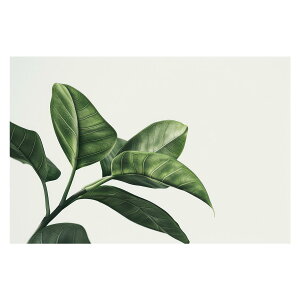 植物 グリーン 葉っぱ 観葉 ポスター ボタニカル 草 自然 用紙とサイズが選べる インテリア おしゃれ プリントポスター フォト オシャレ アート モダン シンプル お洒落 特大 大きい【lh-poster