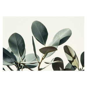 A O[ t ϗt |X^[ {^jJ  R pƃTCYIׂ CeA  vg|X^[ tHg IV A[g _ Vv   傫ylh-poster