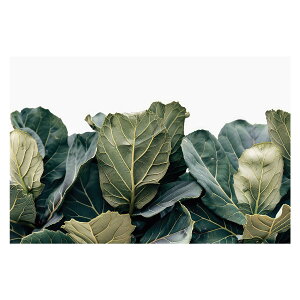 A O[ t ϗt |X^[ {^jJ  R pƃTCYIׂ CeA  vg|X^[ tHg IV A[g _ Vv   傫ylh-poster